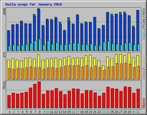 Daily usage for January 2016