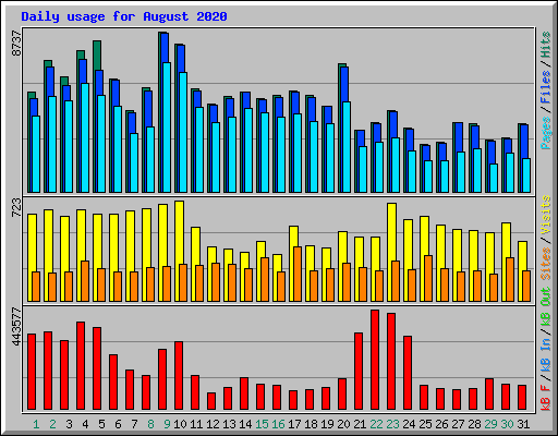 Daily usage for August 2020