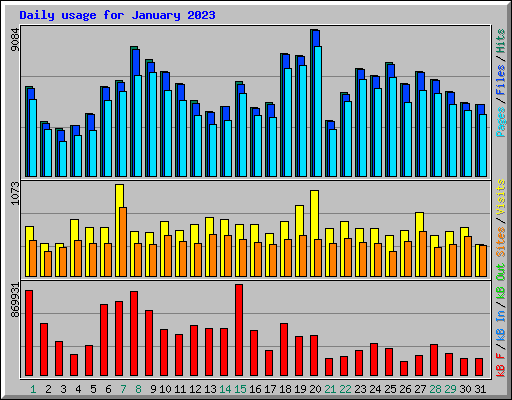Daily usage for January 2023