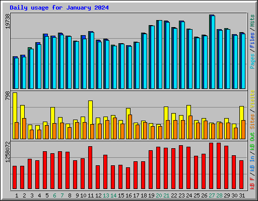 Daily usage for January 2024
