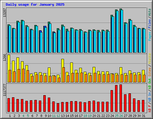 Daily usage for January 2025