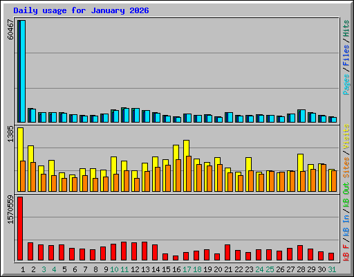 Daily usage for January 2026