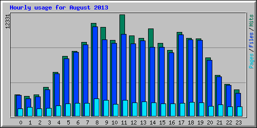 Hourly usage for August 2013