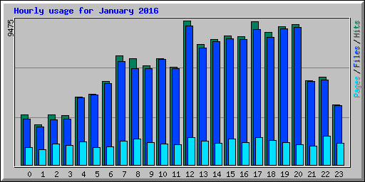 Hourly usage for January 2016