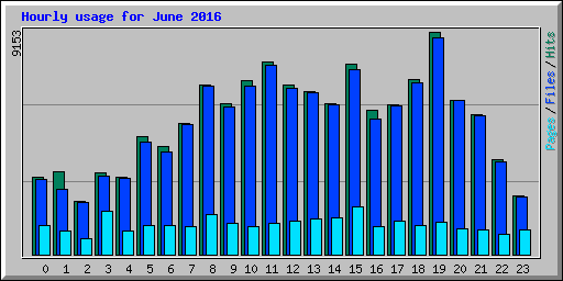 Hourly usage for June 2016