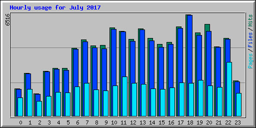 Hourly usage for July 2017