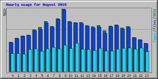 Hourly usage for August 2018