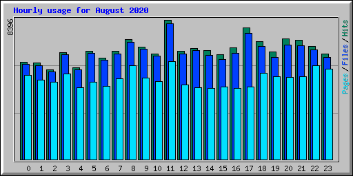 Hourly usage for August 2020