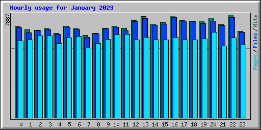 Hourly usage for January 2023
