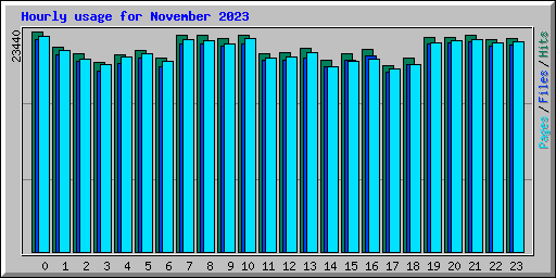 Hourly usage for November 2023