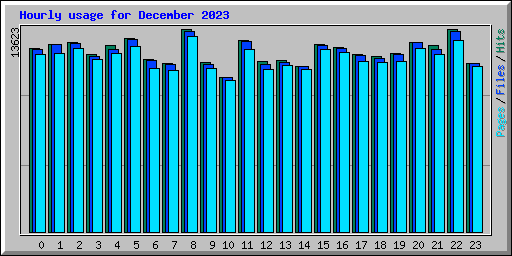 Hourly usage for December 2023