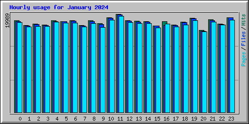 Hourly usage for January 2024