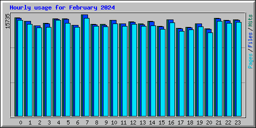 Hourly usage for February 2024