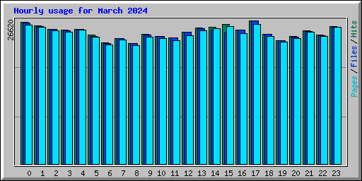 Hourly usage for March 2024