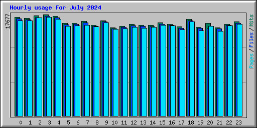 Hourly usage for July 2024