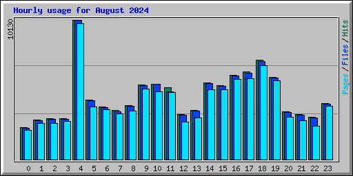 Hourly usage for August 2024