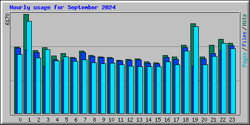 Hourly usage for September 2024
