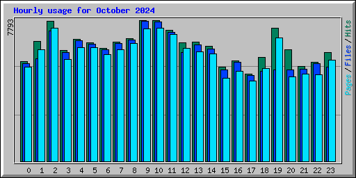 Hourly usage for October 2024
