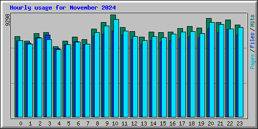 Hourly usage for November 2024