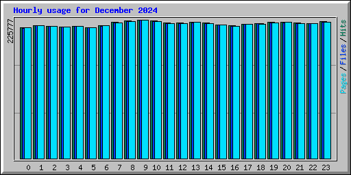 Hourly usage for December 2024