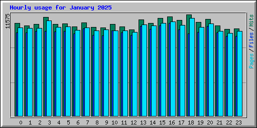 Hourly usage for January 2025