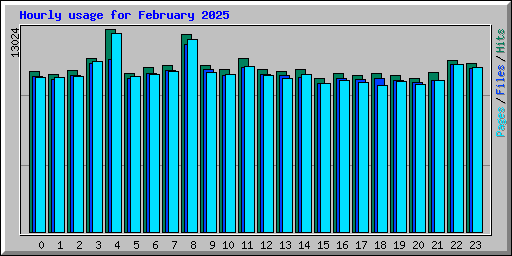 Hourly usage for February 2025