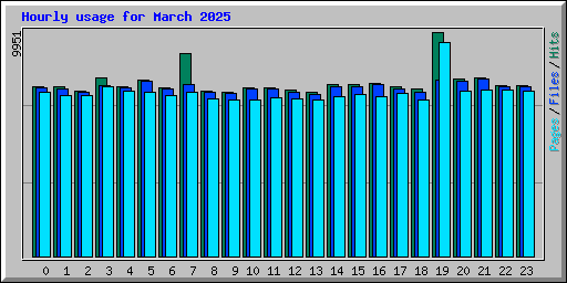 Hourly usage for March 2025