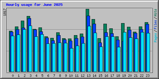 Hourly usage for June 2025