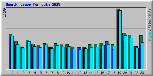 Hourly usage for July 2025