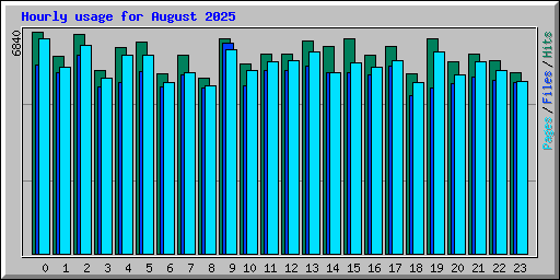 Hourly usage for August 2025