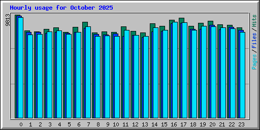 Hourly usage for October 2025