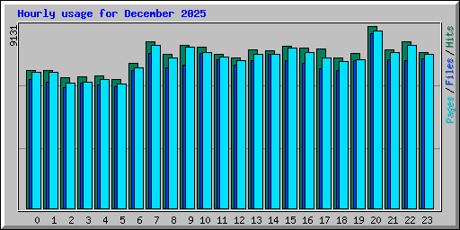 Hourly usage for December 2025