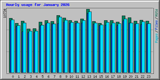 Hourly usage for January 2026
