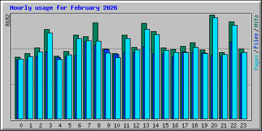Hourly usage for February 2026