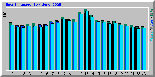 Hourly usage for June 2026