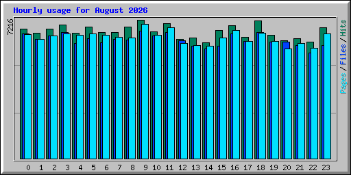 Hourly usage for August 2026